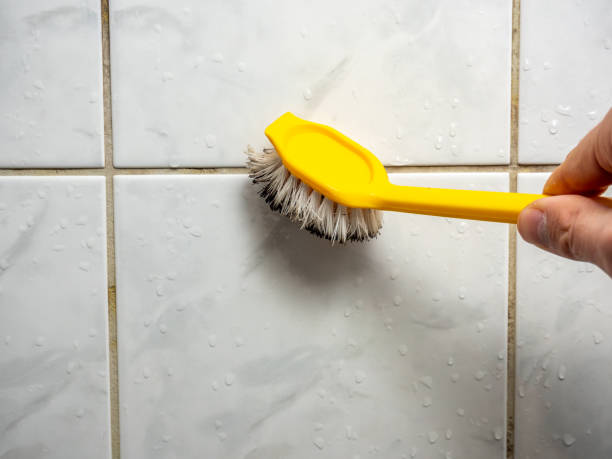 Best DIY Mold Remediation Support Services in Taylors Falls, MN